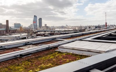 New Study Finds Green Roofs Capture Microplastics