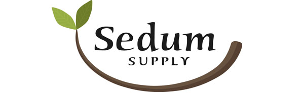 Sedum Supply