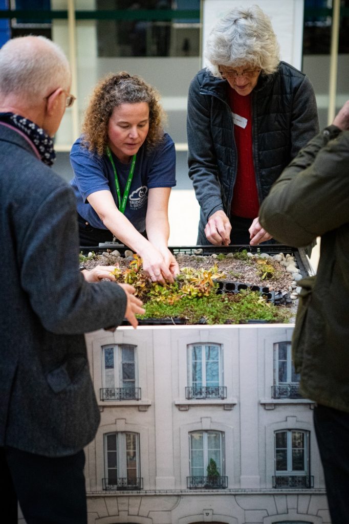 group of people at a trade show examining a green roof installed onto a dolls house