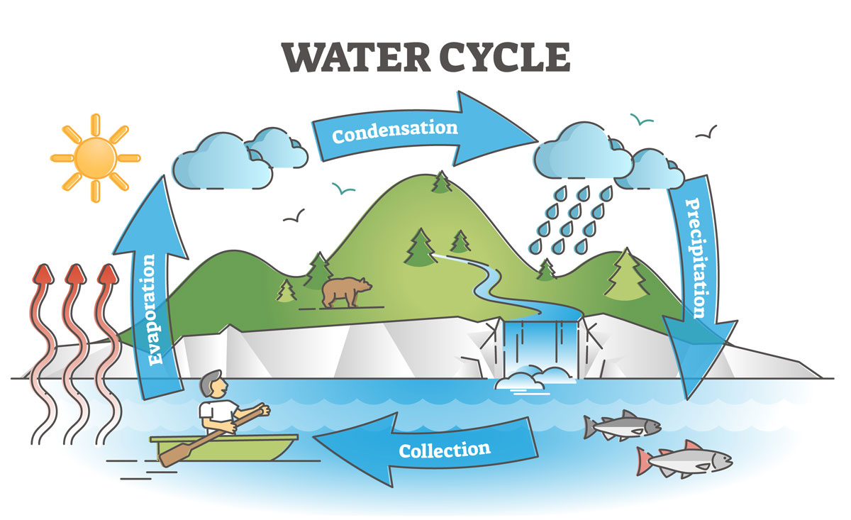 diagram showing the natural water cycle