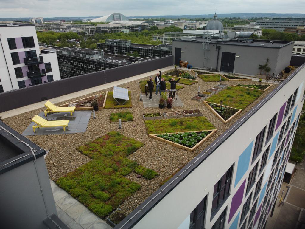 smart green roof with interesting features