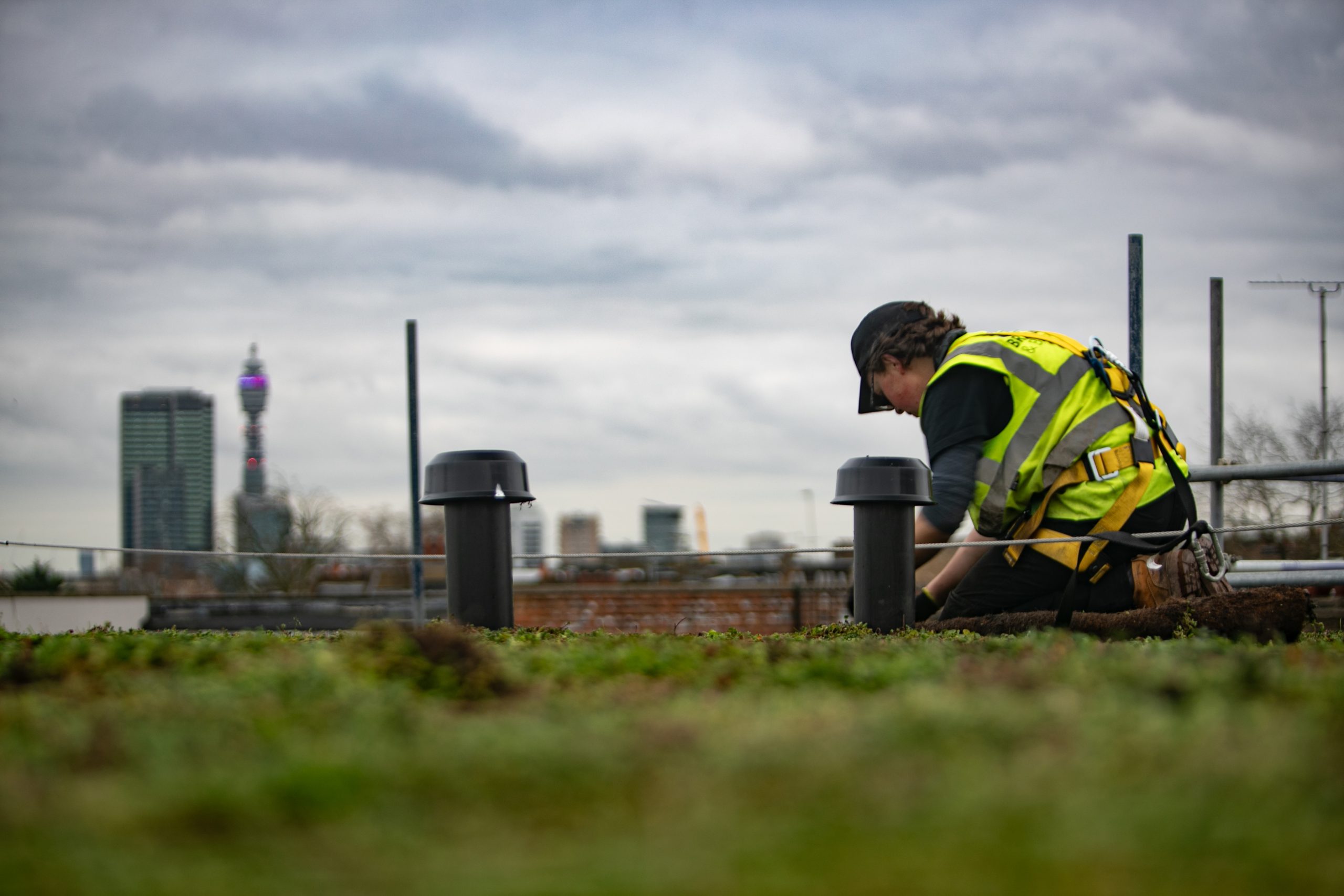 how-do-green-roofs-work-green-roof-organisation