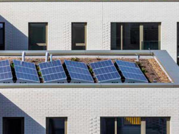 PV panels installed on to a living green roof for enhanced performance