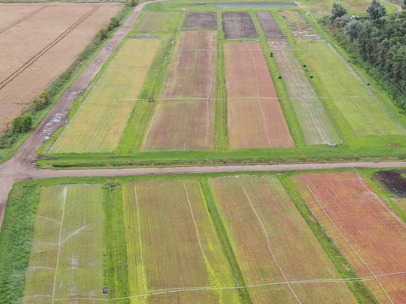 drones eye view of sedum green roof vegetation mats in the production fields